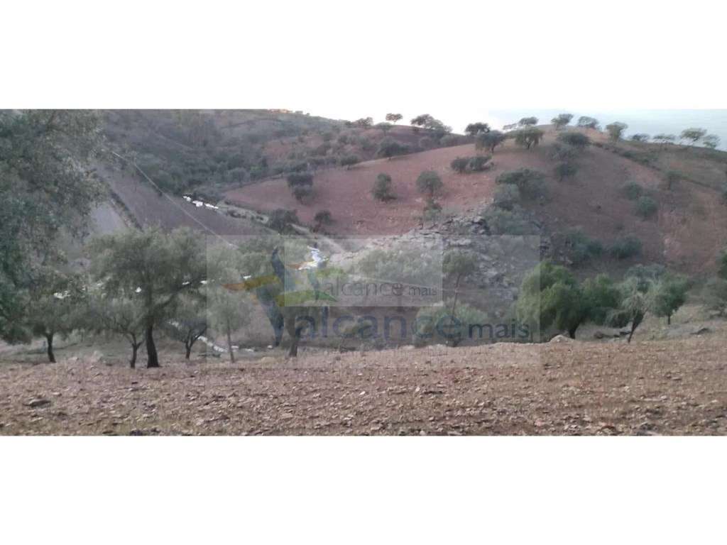 Propriedade rural com área total de 9 hectares - zona de Vila Nova ... - Grande imagem: 3/6