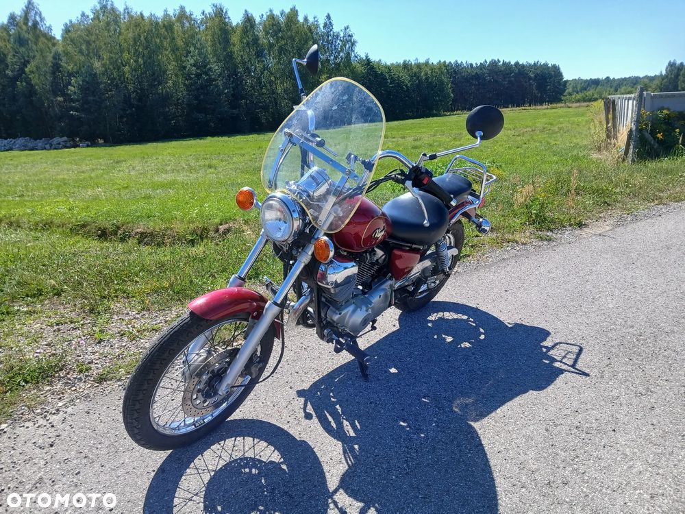 Yamaha Virago - 17