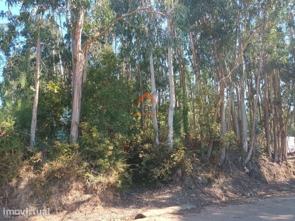 Terreno para Construção em Óis da Ribeira - Grande imagem: 2/4