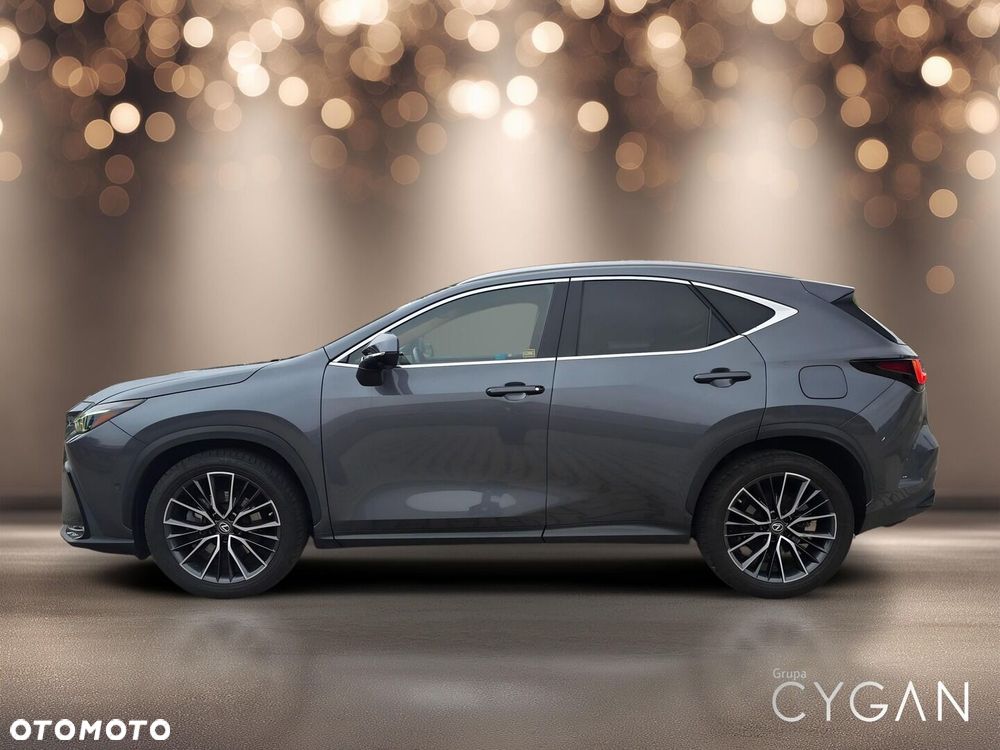 Lexus NX - 4