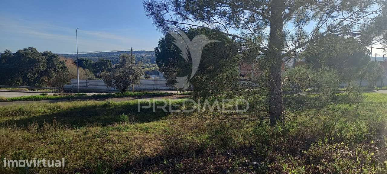 Lote de Moradia - Grande imagem: 5/7