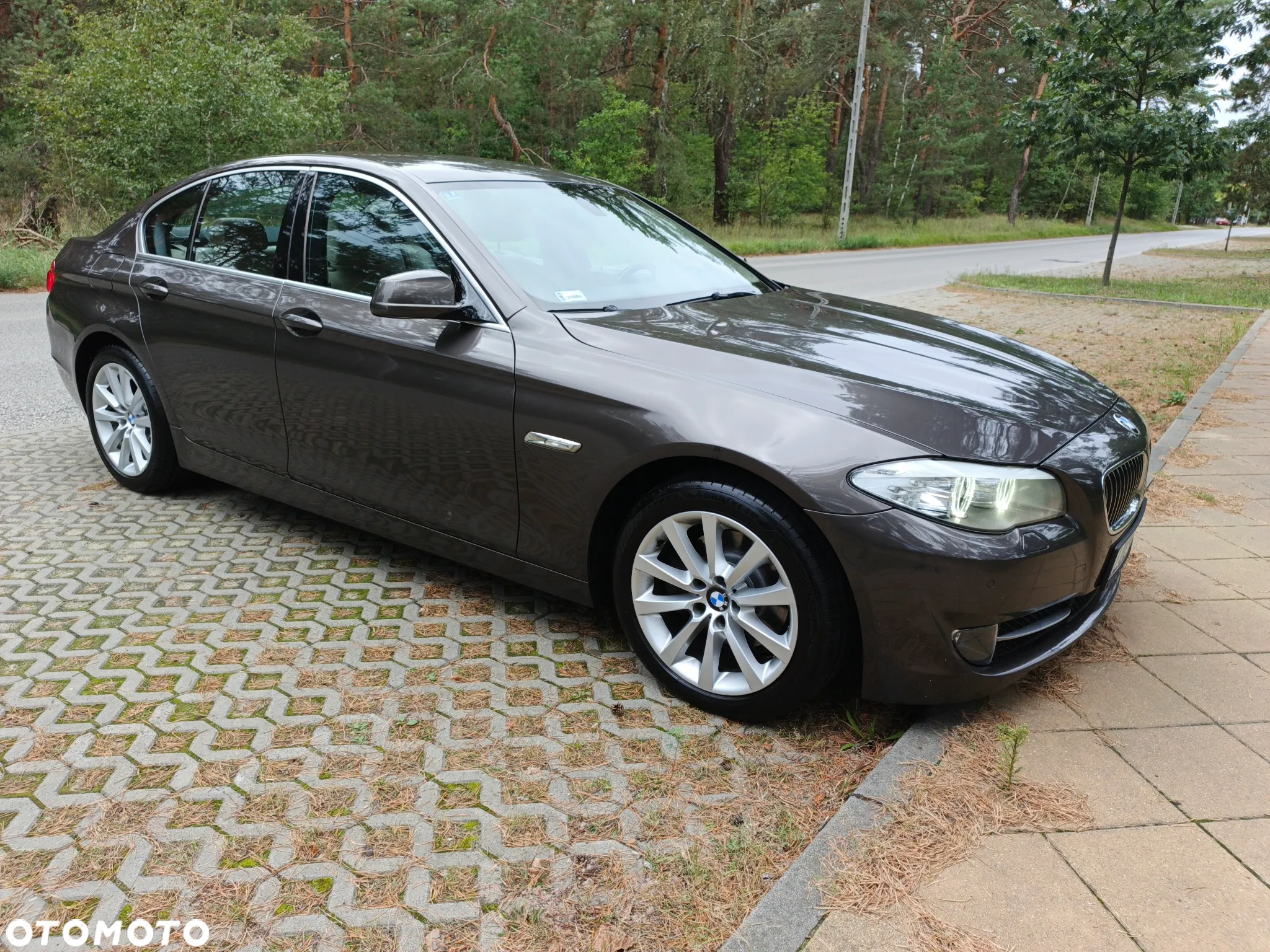 BMW Seria 5 - 15