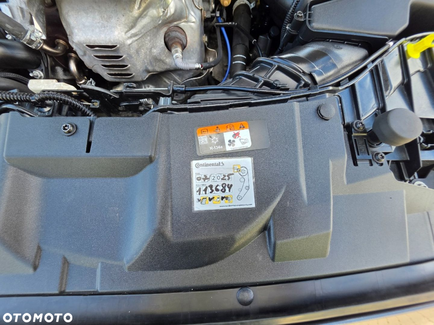 Ford Focus - 29