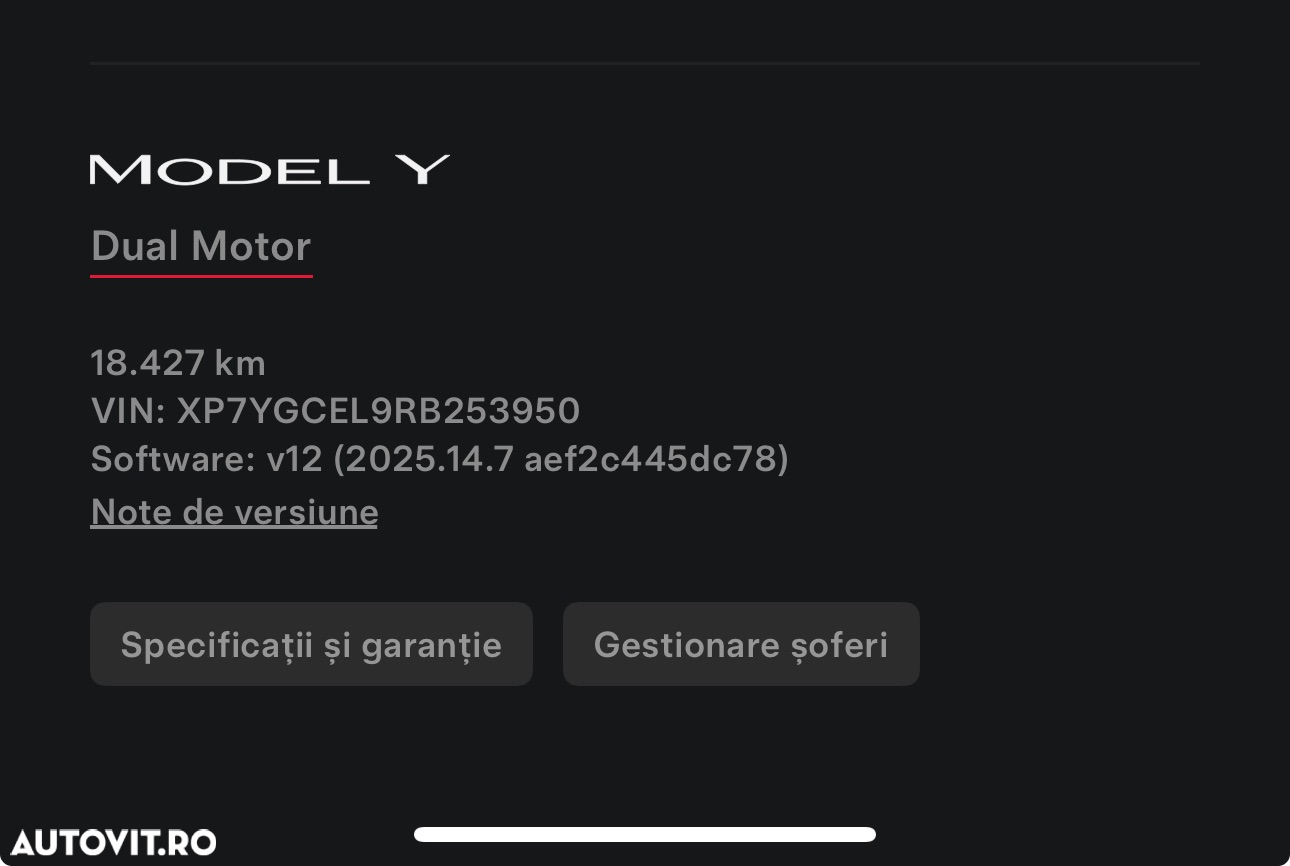 Tesla Model Y Performance - 8