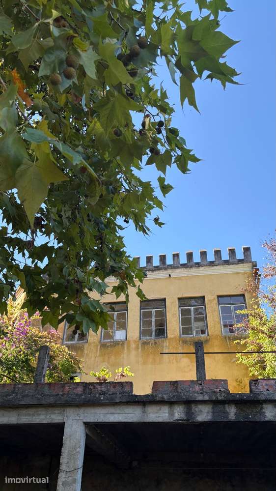 Quinta Senhorial - 12 Hectares - Olival - Ourém - Grande imagem: 3/23