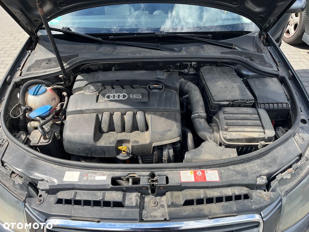 Audi A3 3-drzwiowe 1.6 Ambiente - 17