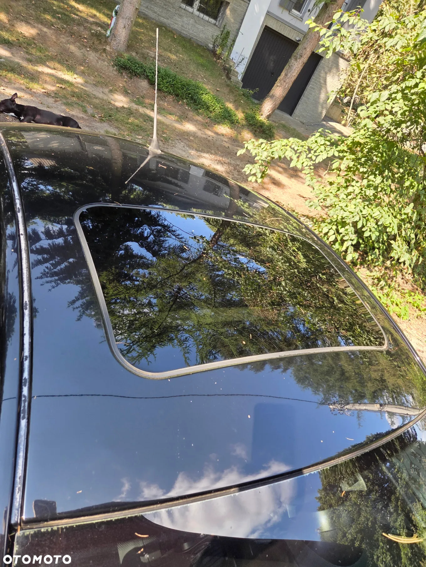 Volkswagen New Beetle - 34