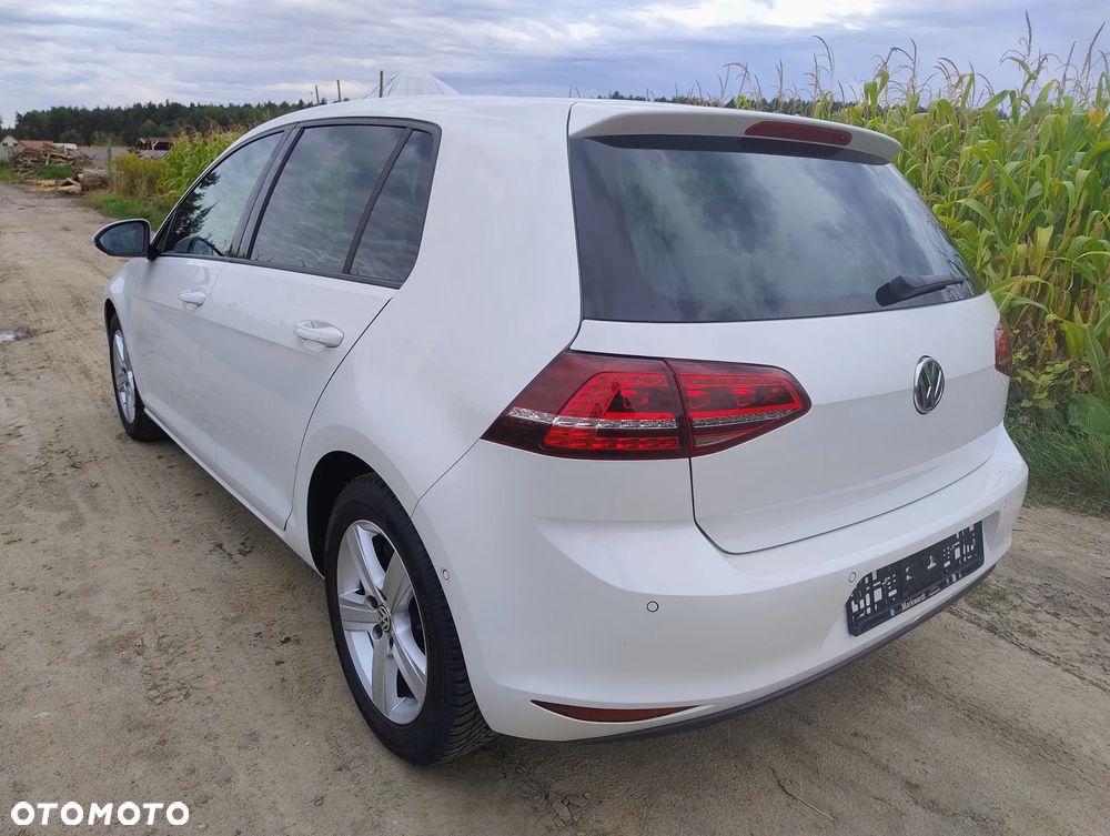Volkswagen Golf - 31
