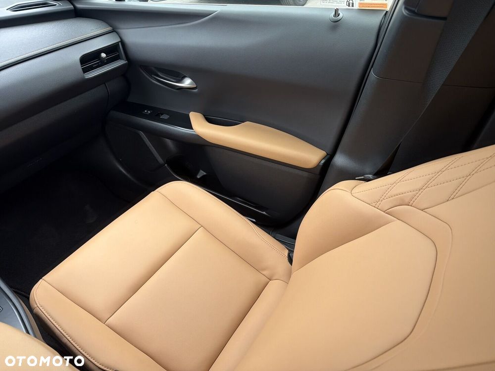 Lexus UX 250h GPF F Sport Design 2WD - 20