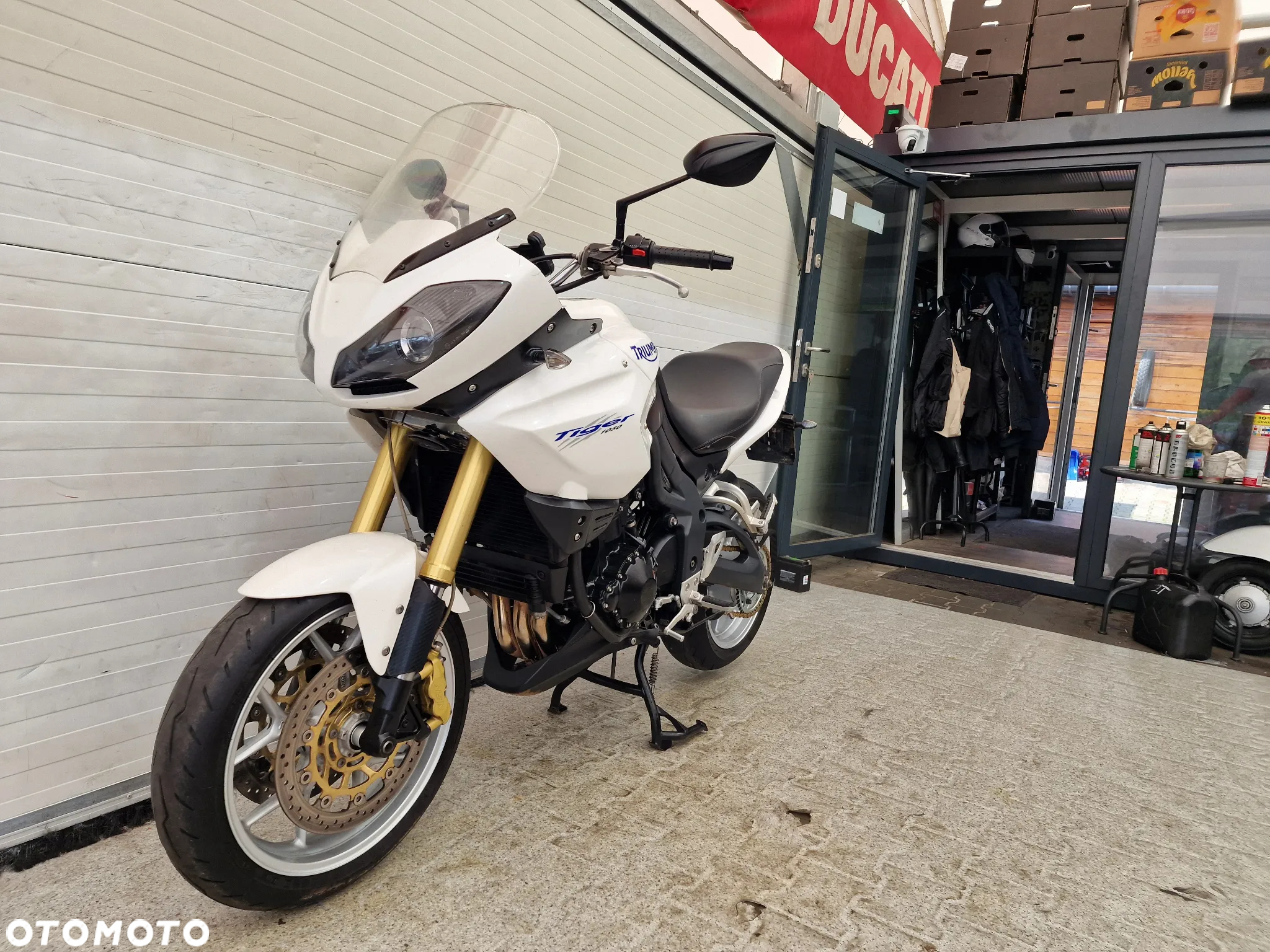 Triumph Tiger - 2