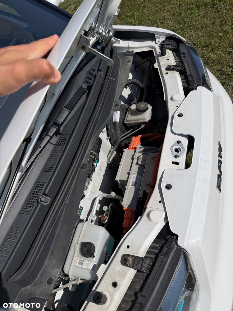 BAW Pony - 13