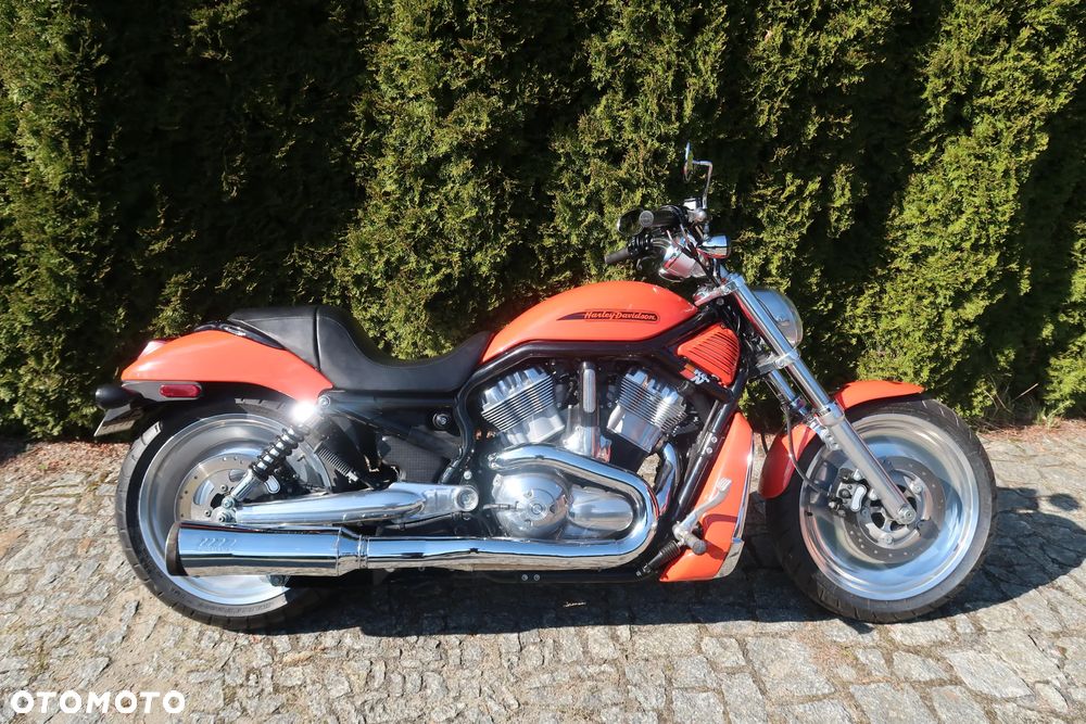 Harley-Davidson V-Rod Night Rod - 7