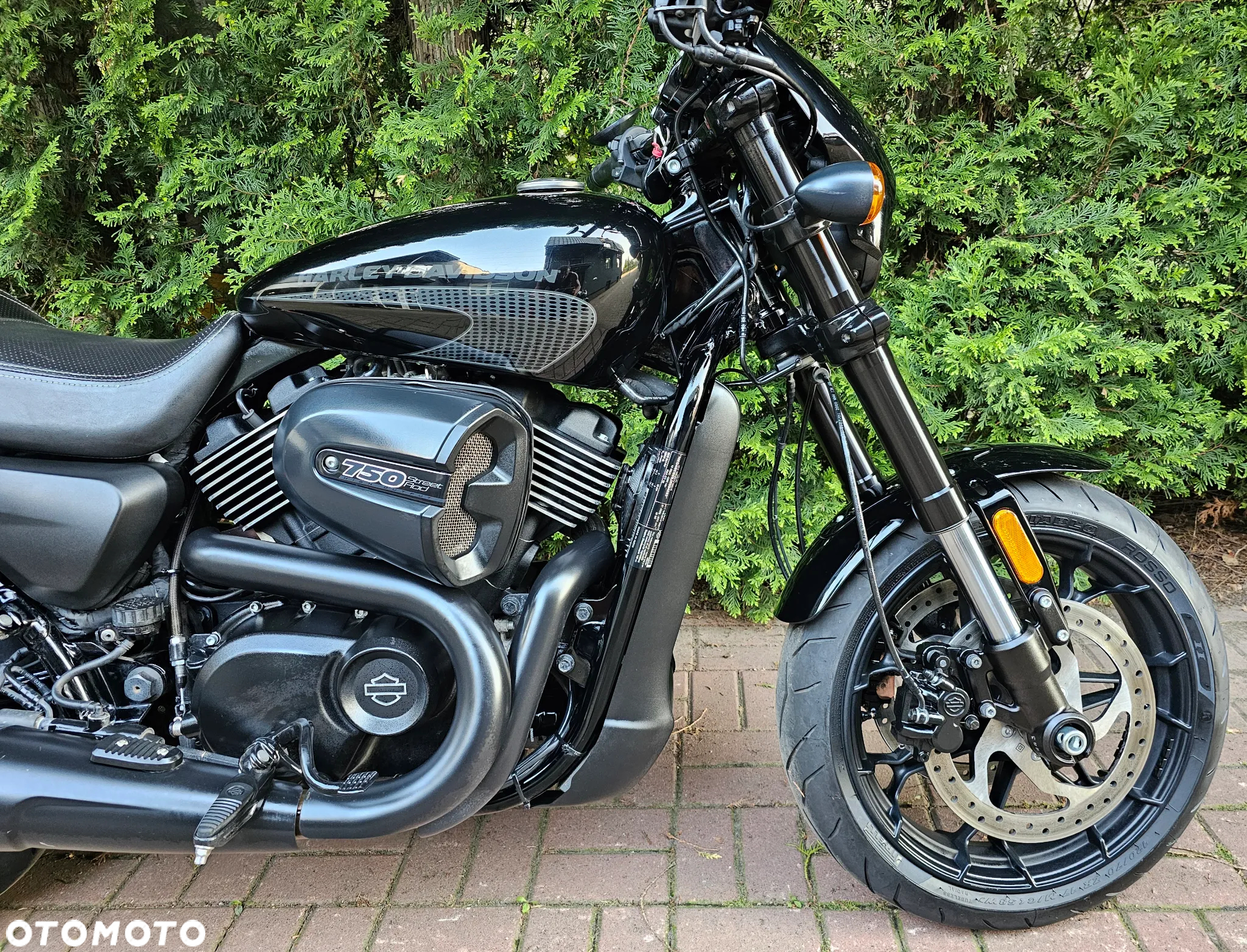 Harley-Davidson Street Rod XG 750A - 5