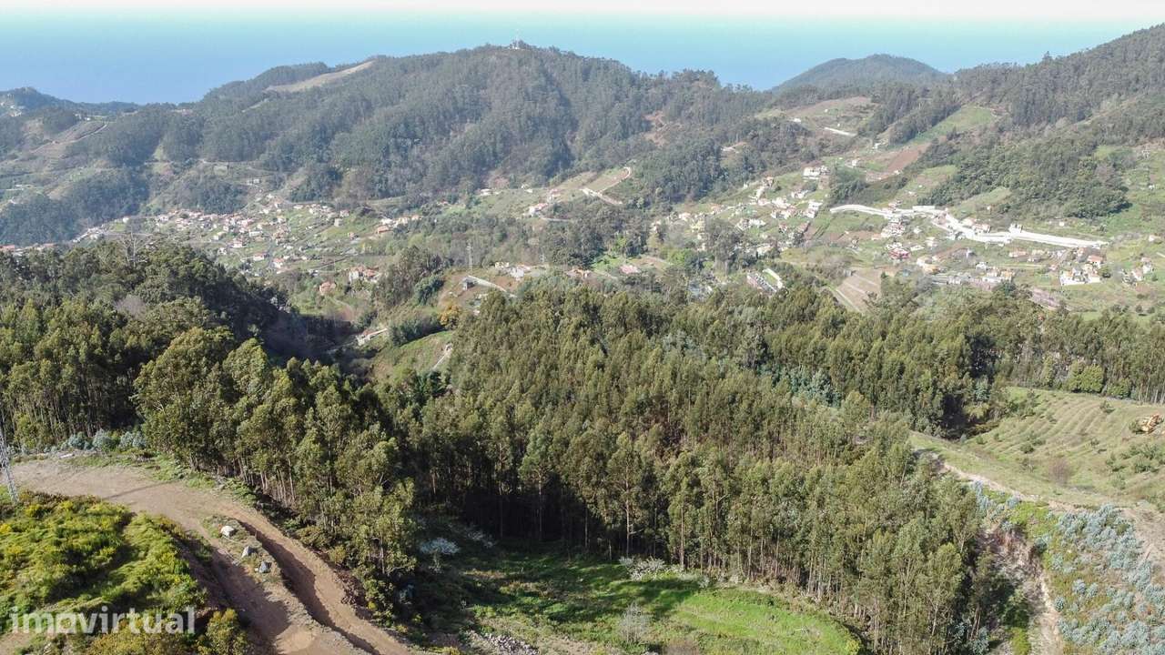 Terreno rústico 25.131 m2 | Jardim da Serra – Câmara de Lobos - Grande imagem: 2/42