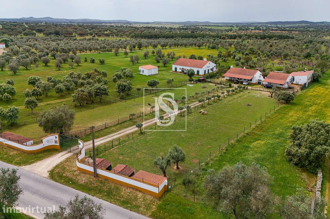 Quinta T9 Venda em Vimieiro,Arraiolos - Grande imagem: 2/51