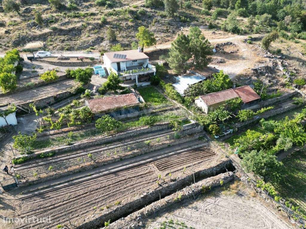 Magnifico terreno agricola com habitação T1- 31507 m2 de área em Ca... - Grande imagem: 2/25
