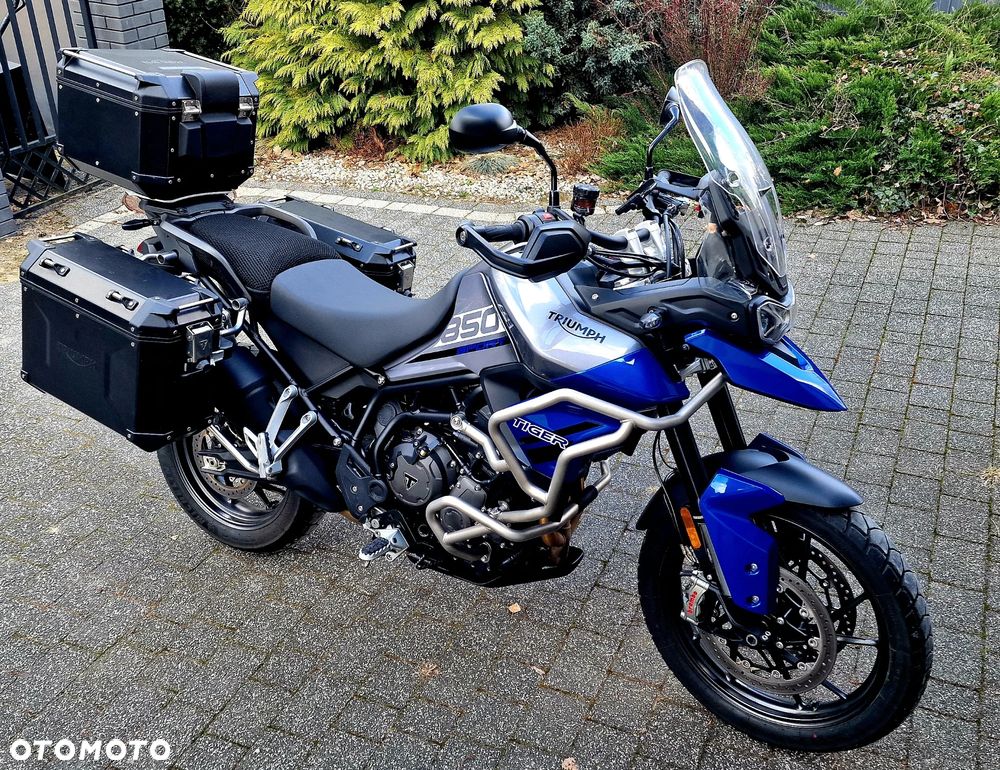 Triumph Tiger - 1