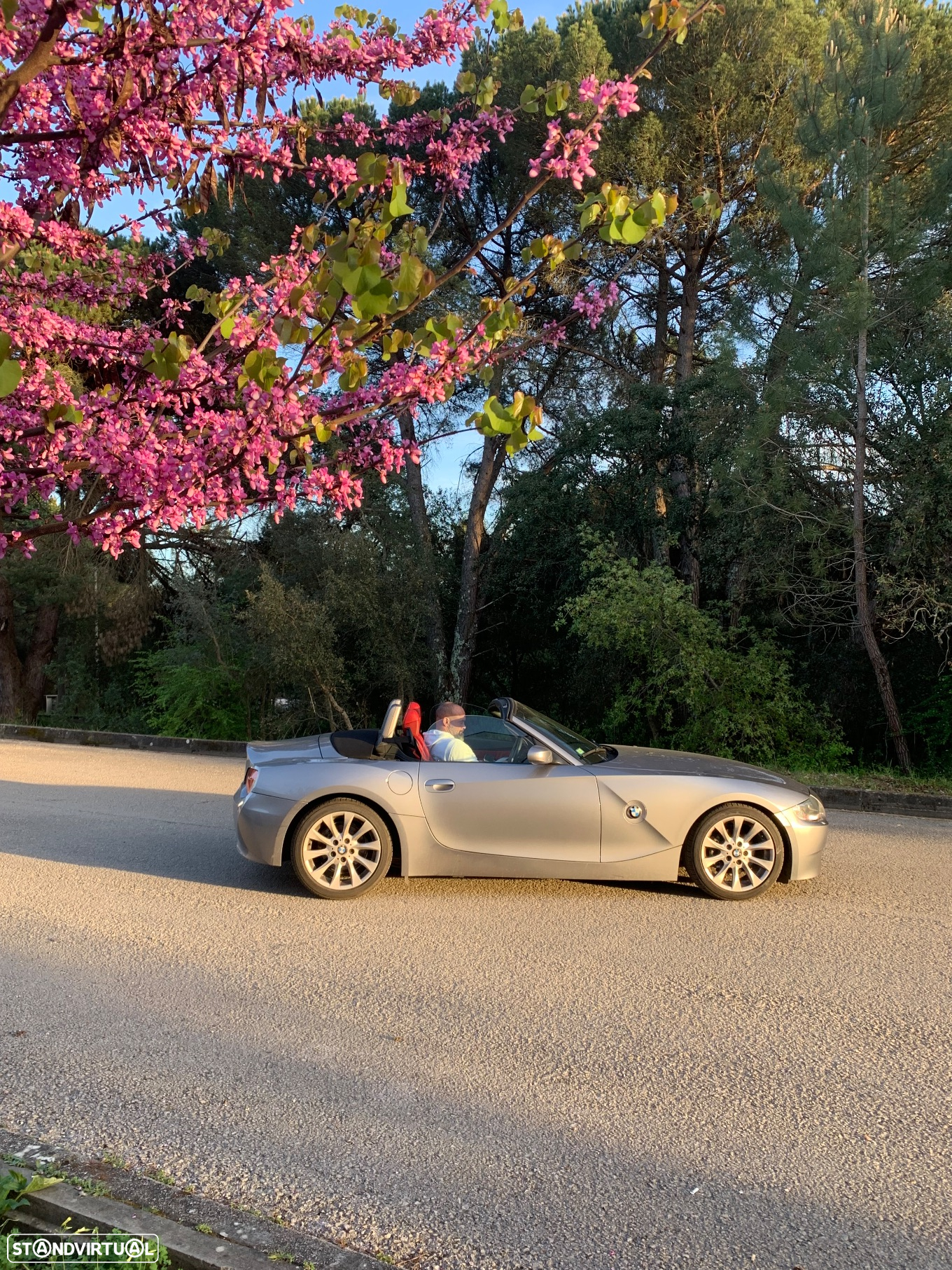 BMW Z4 2.0 - 4
