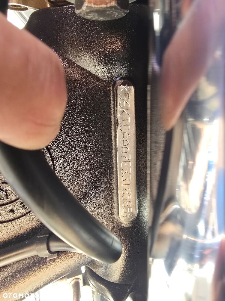 Indian Chieftain - 33