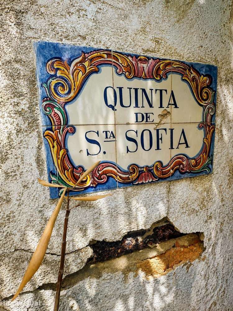 Quinta de Santa Sofia — 15,5 Hectares - Grande imagem: 2/19