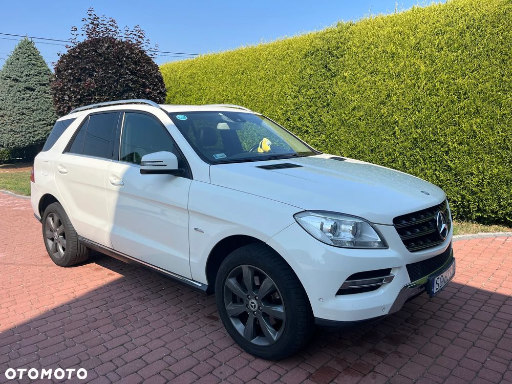 Mercedes-Benz ML 250 BlueTEC 4-Matic - 1