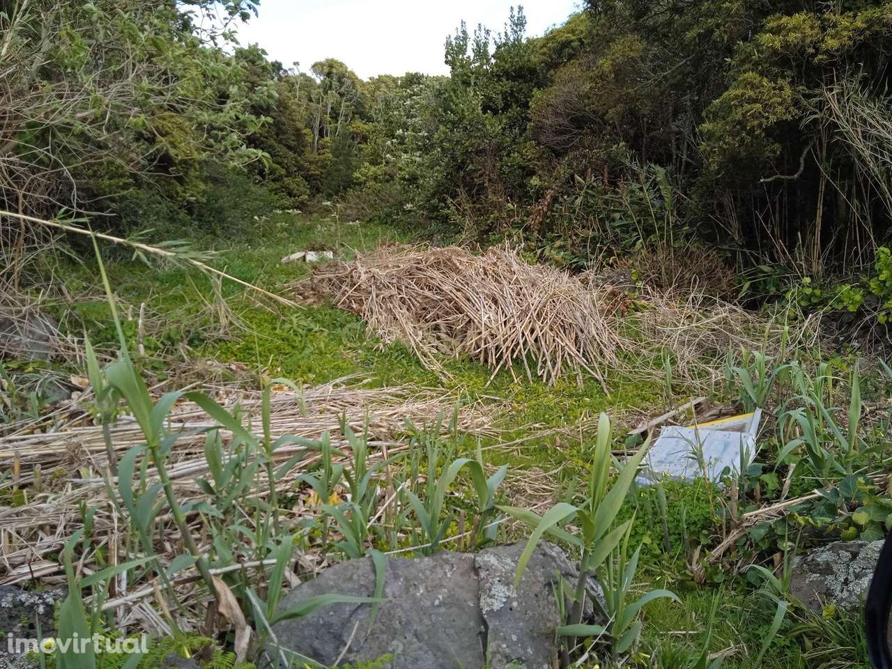 Terreno rústico na Vila de São Sebastião. - Grande imagem: 3/3