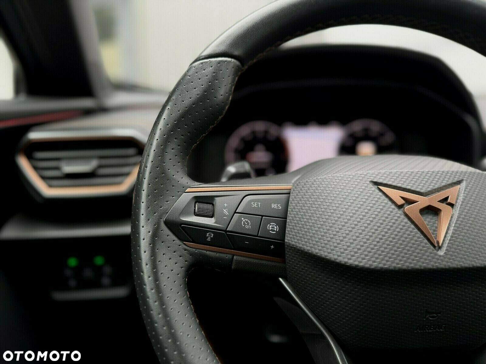 Cupra Formentor 1.5 TSI DSG - 28