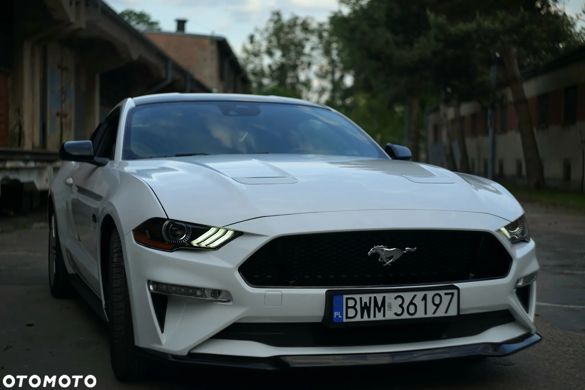 Ford Mustang - 16
