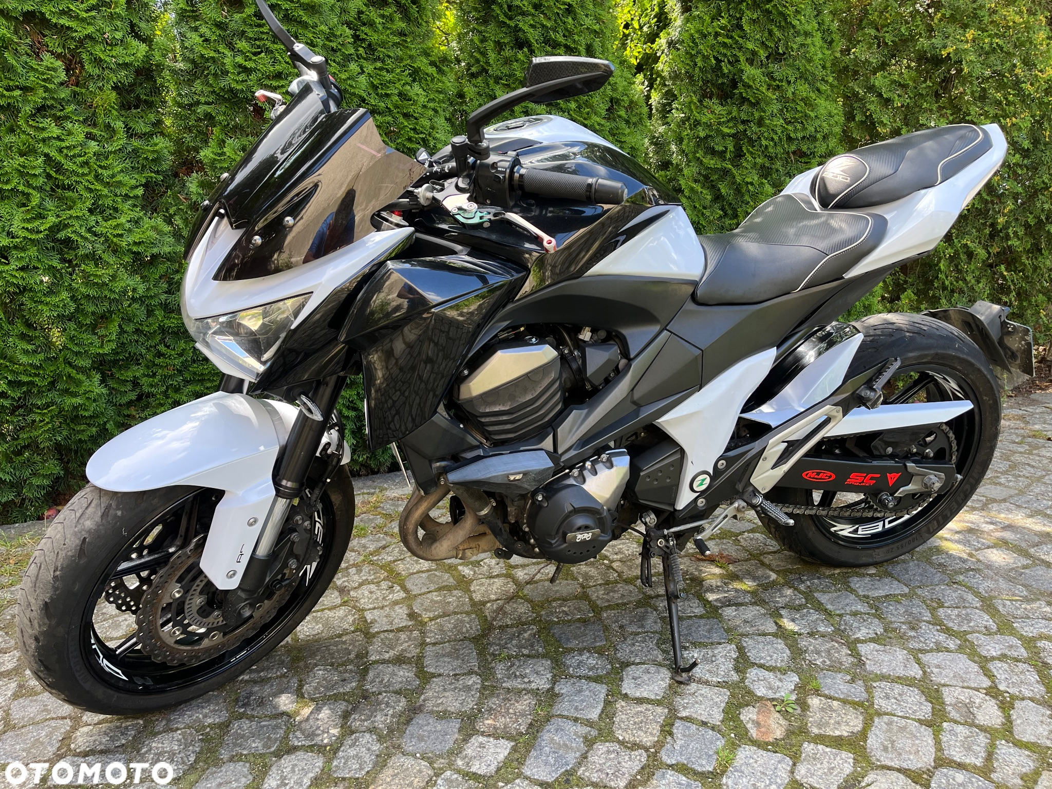 Kawasaki Z - 6