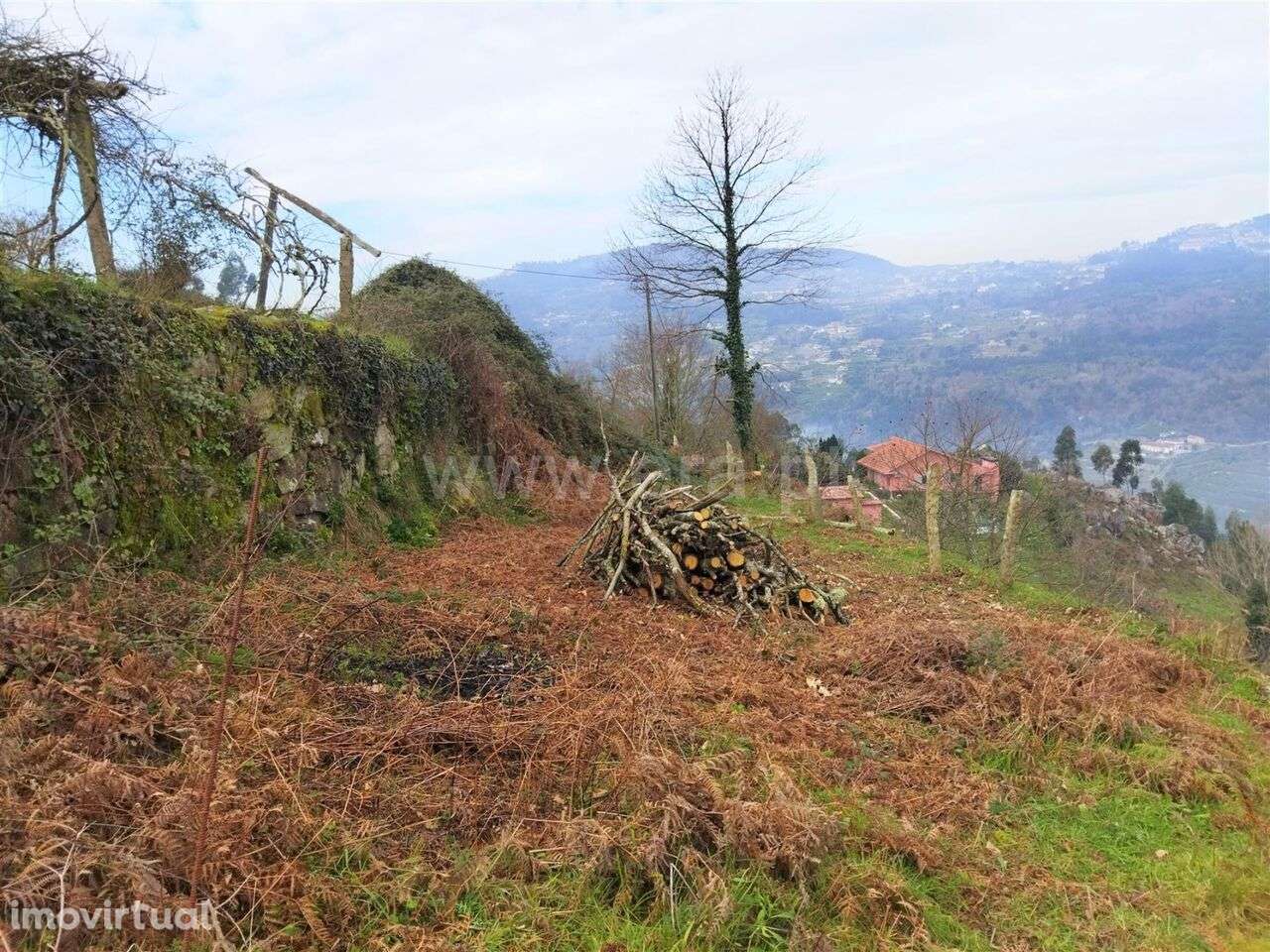 Terreno / Cinfães, Espadanedo - Grande imagem: 3/6
