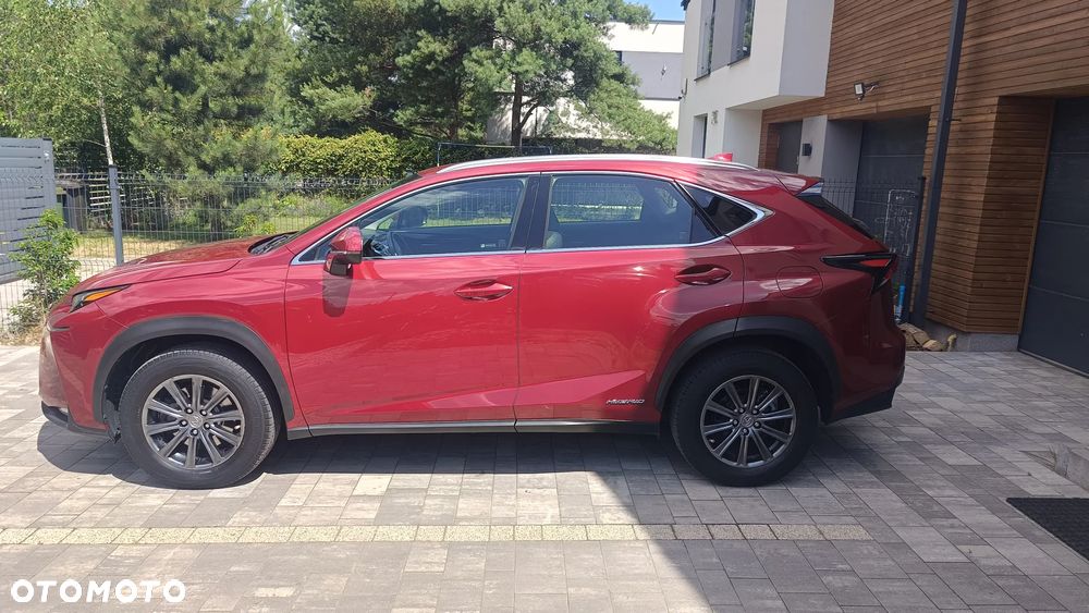 Lexus NX 300h Elite AWD - 13