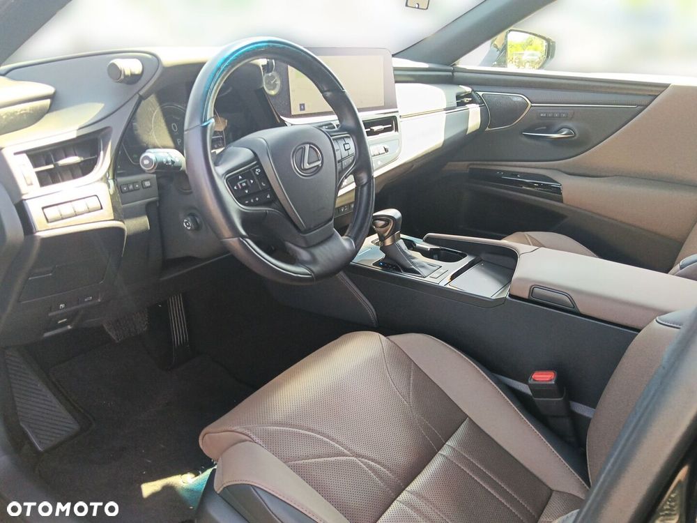 Lexus ES 300h Omotenashi - 11