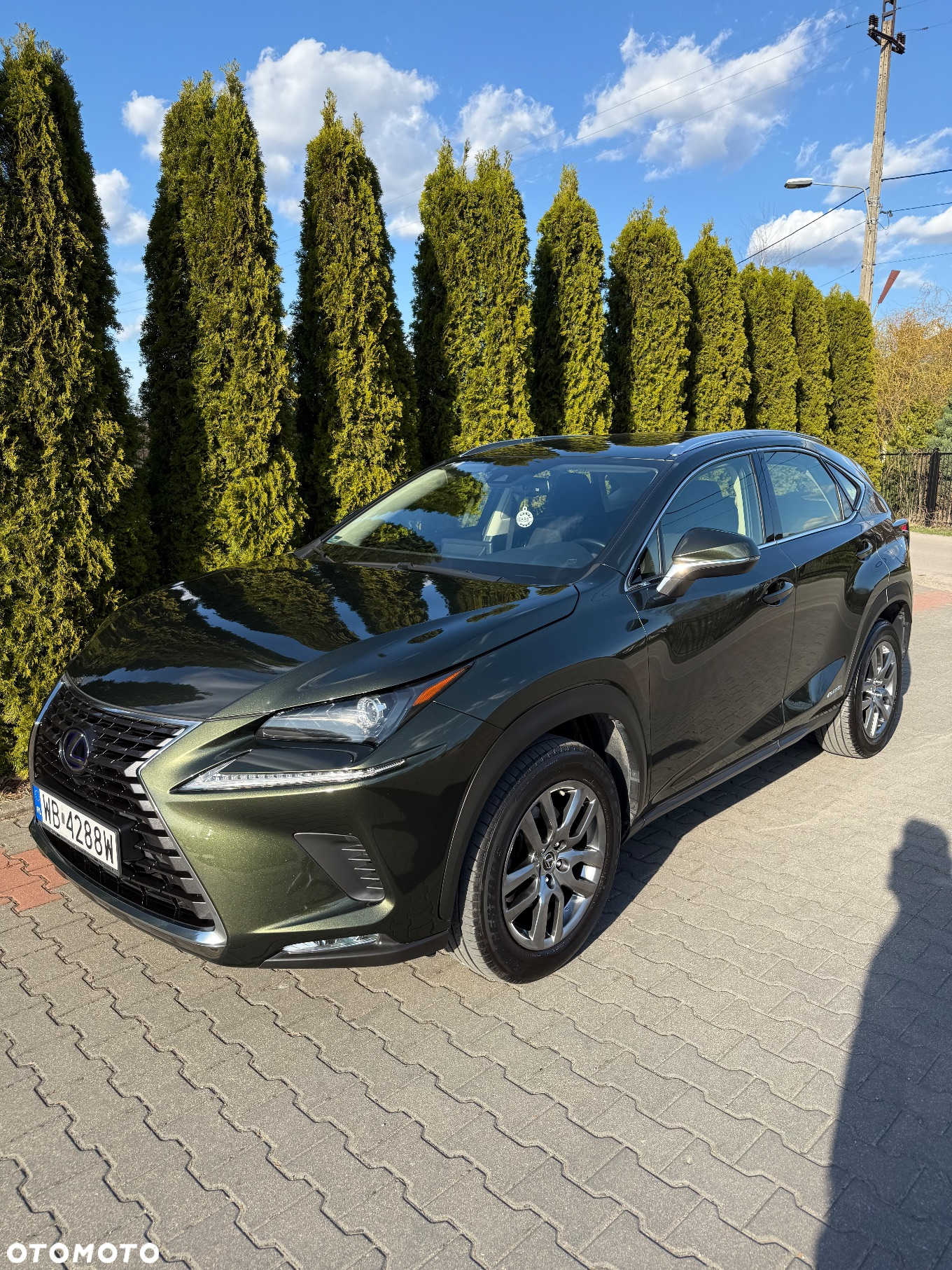 Lexus NX - 23