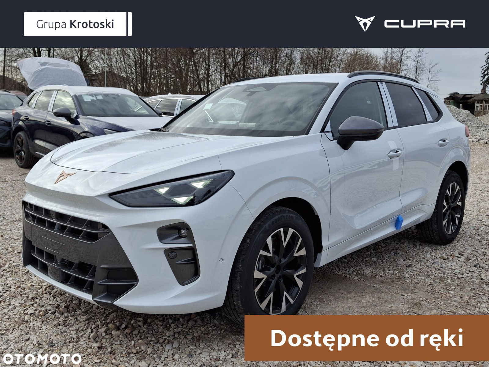 Cupra Terramar - 1