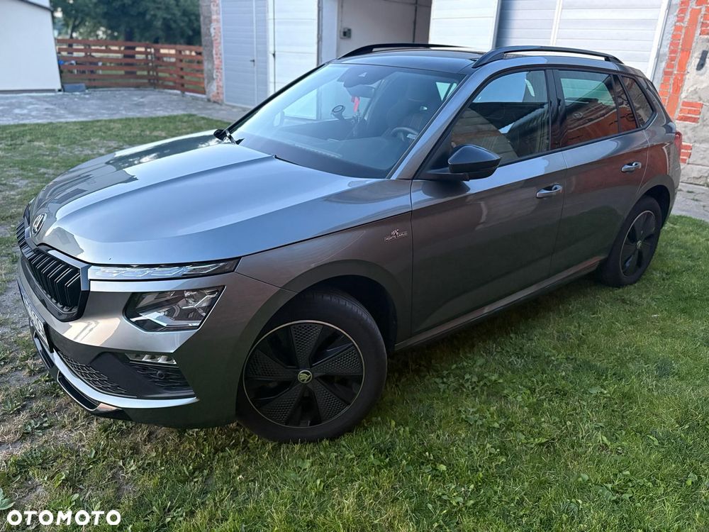 Skoda Kamiq - 3