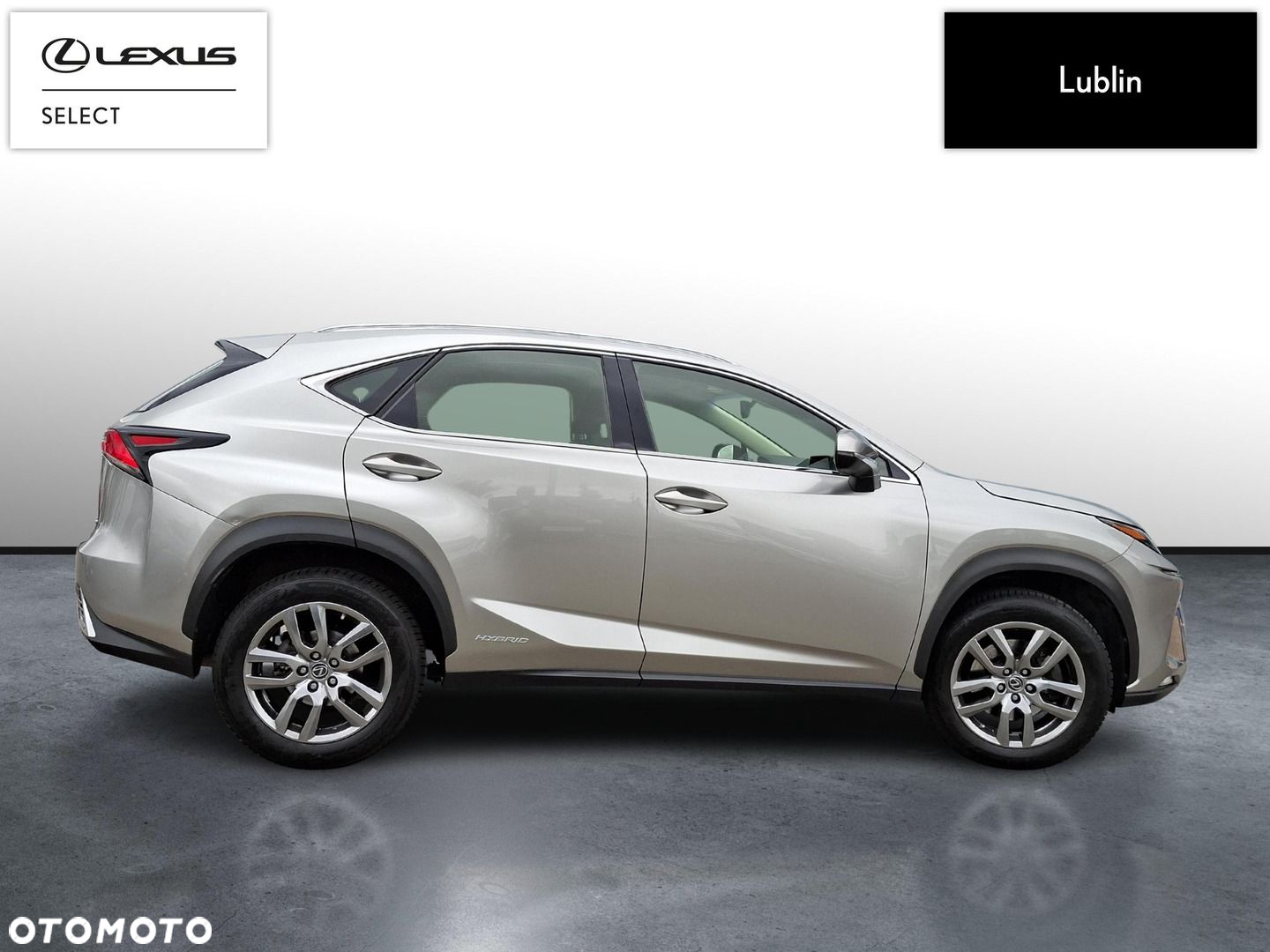 Lexus NX - 6