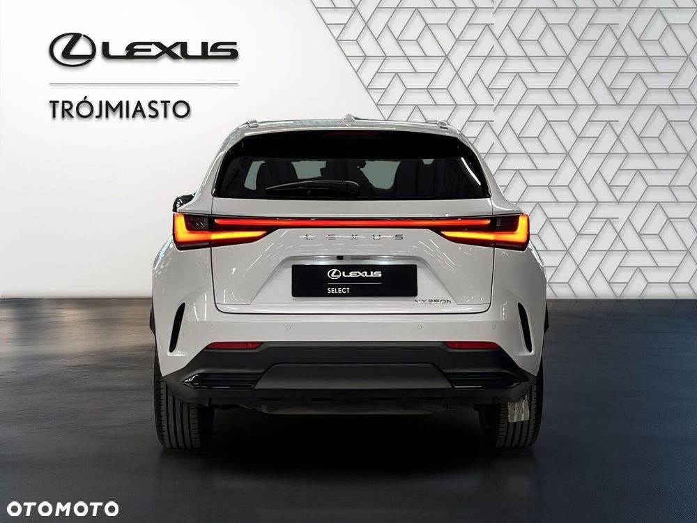Lexus NX 350h Prestige 2WD - 5