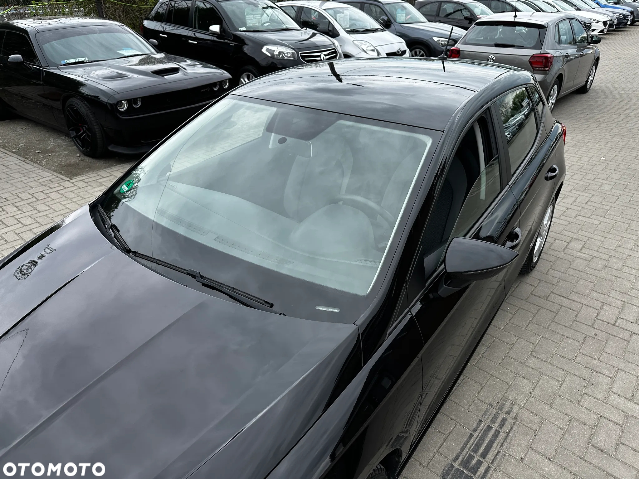 Seat Ibiza - 33