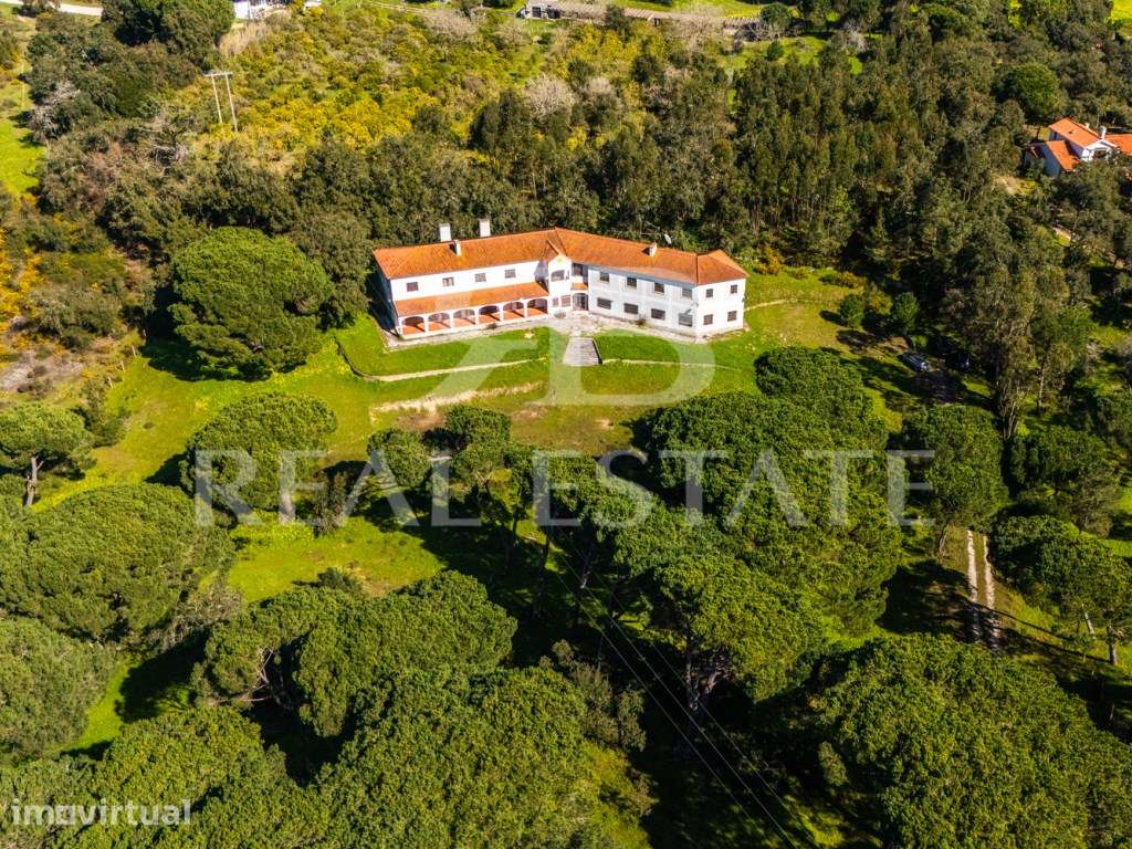 COUNTRY COTTAGE | Sesimbra - Grande imagem: 2/56