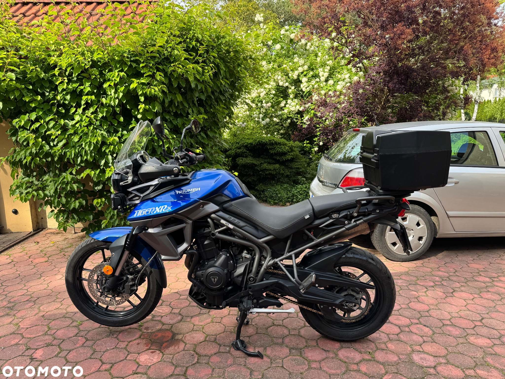 Triumph Tiger - 2
