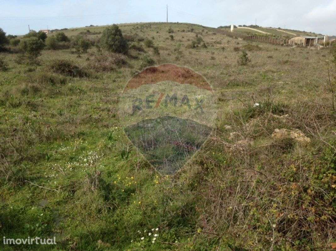 Terreno T0 para venda - Grande imagem: 3/5
