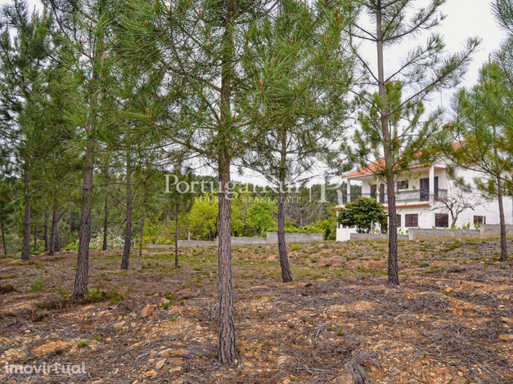 Lote Urbano de 1.340 m2 para Construção de Moradia - Grande imagem: 3/19