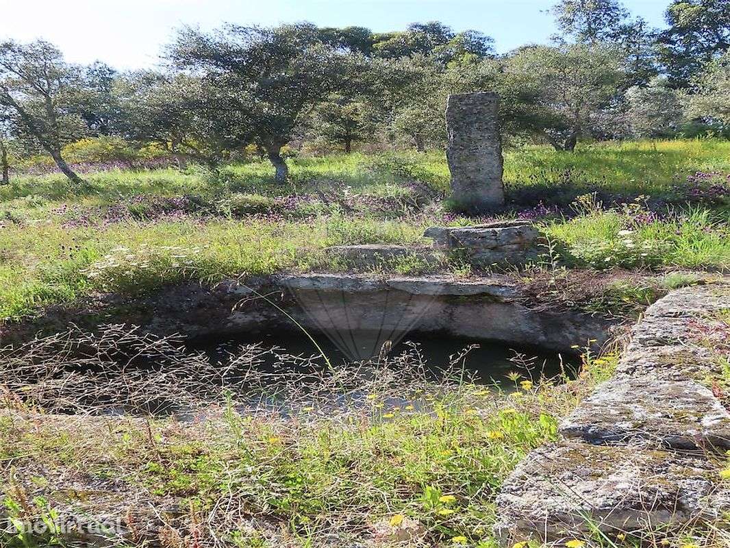 Quinta  para venda - Grande imagem: 5/43