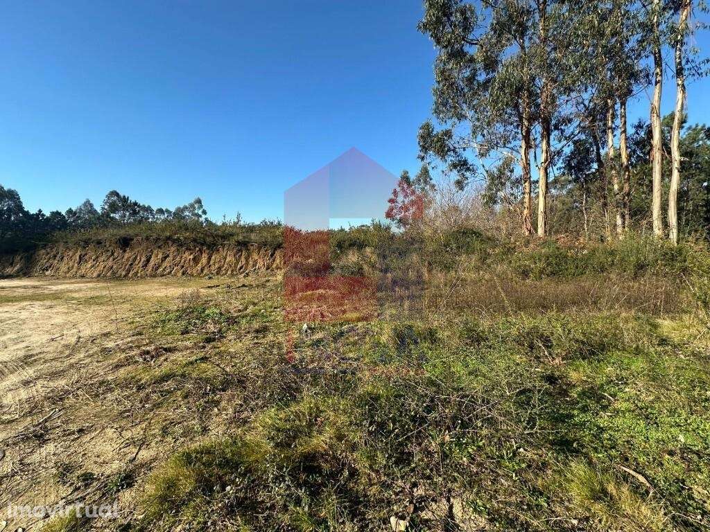 Terreno florestal, Lago - Grande imagem: 4/22