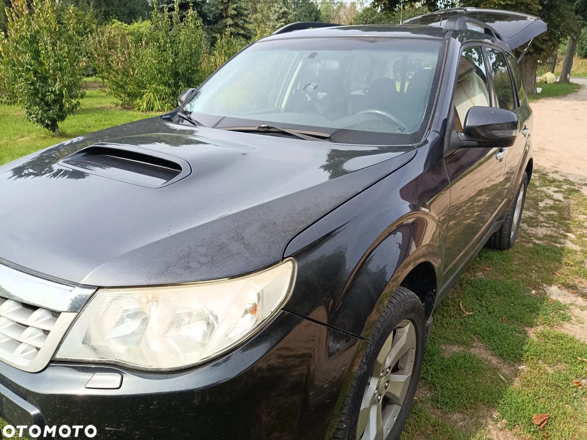 Subaru Forester - 1