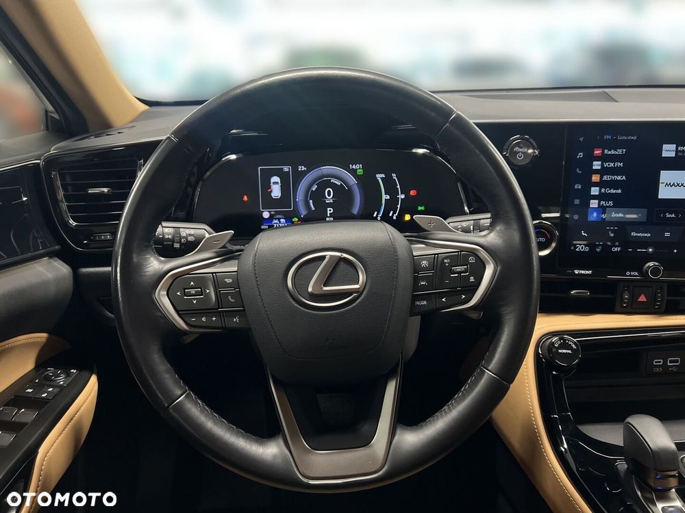 Lexus NX - 20