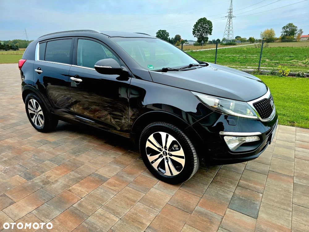 Kia Sportage - 38