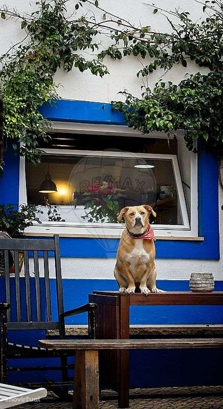 Moradia T3 para venda - Grande imagem: 3/7