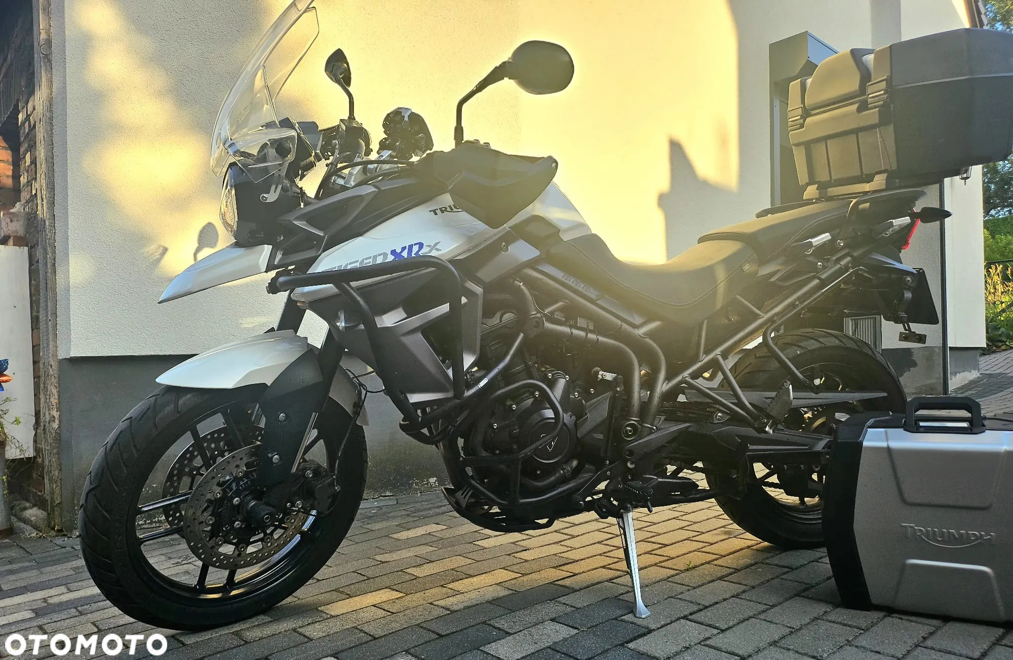 Triumph Tiger - 11