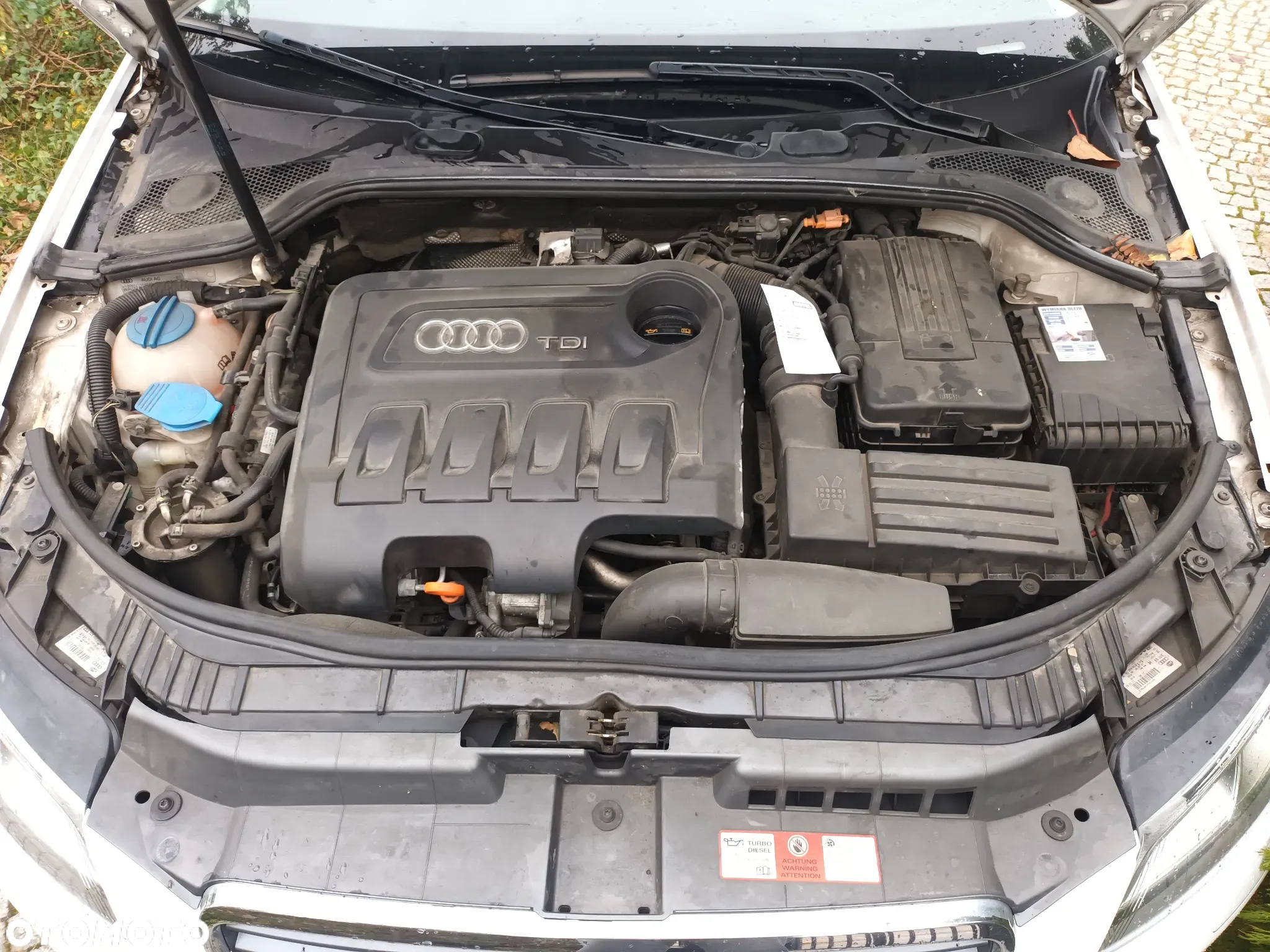 Audi A3 2.0 TDI DPF Ambiente - 12